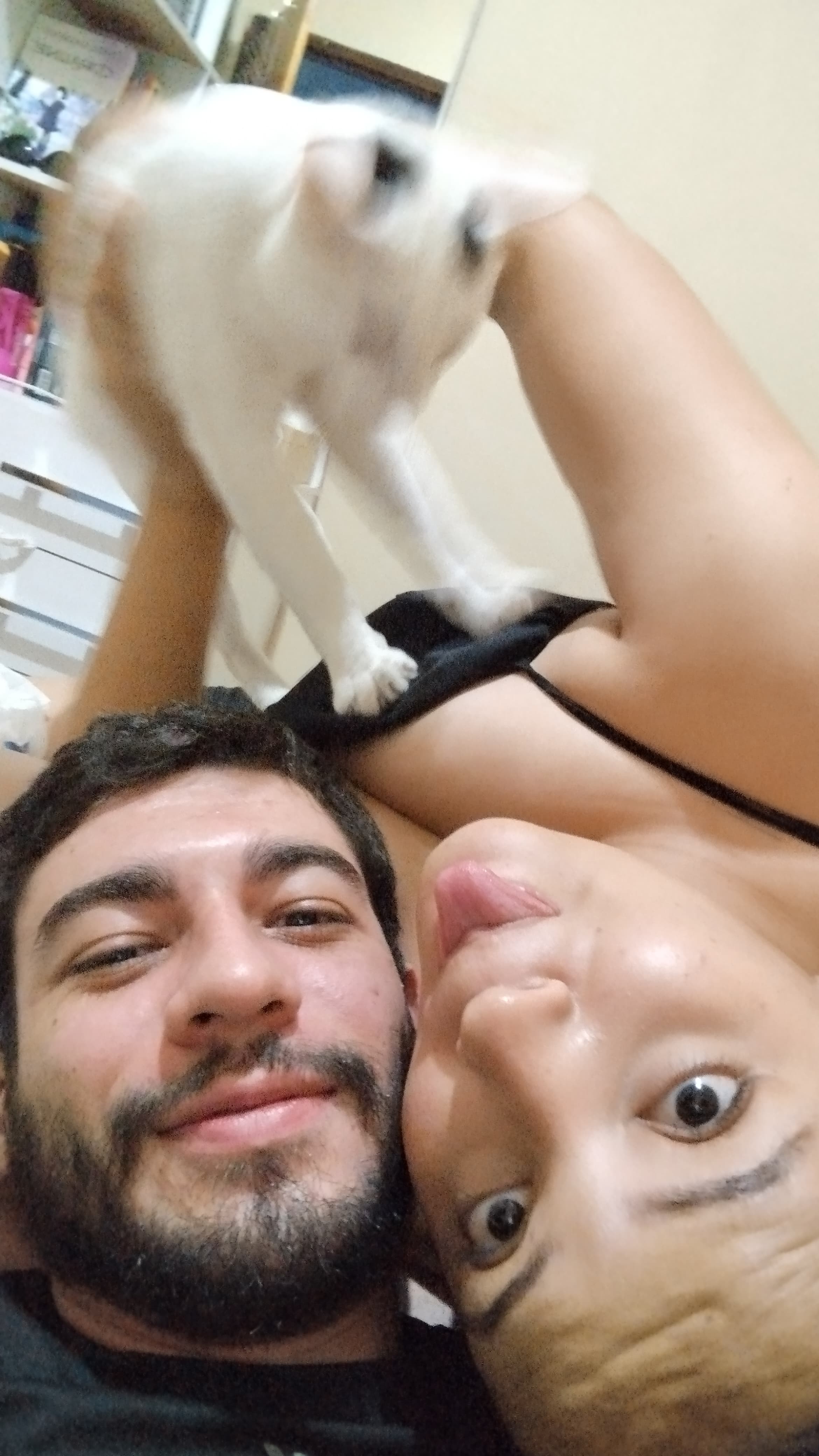 Foto 19